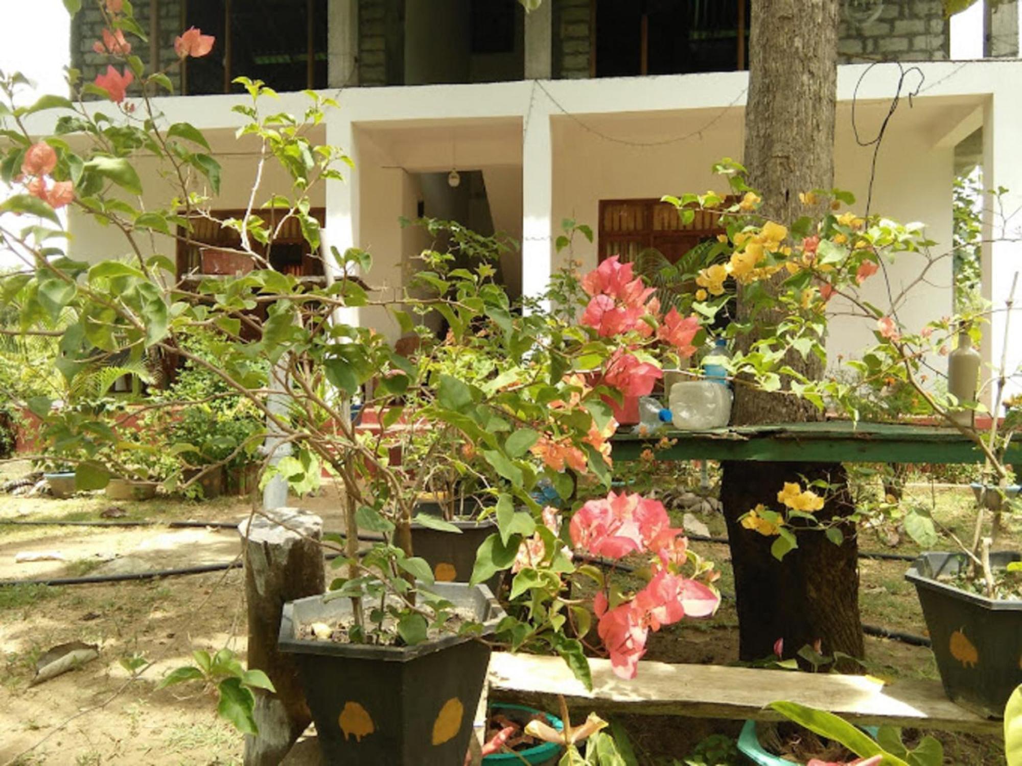 N S K Green Villa Sigiriya Buitenkant foto