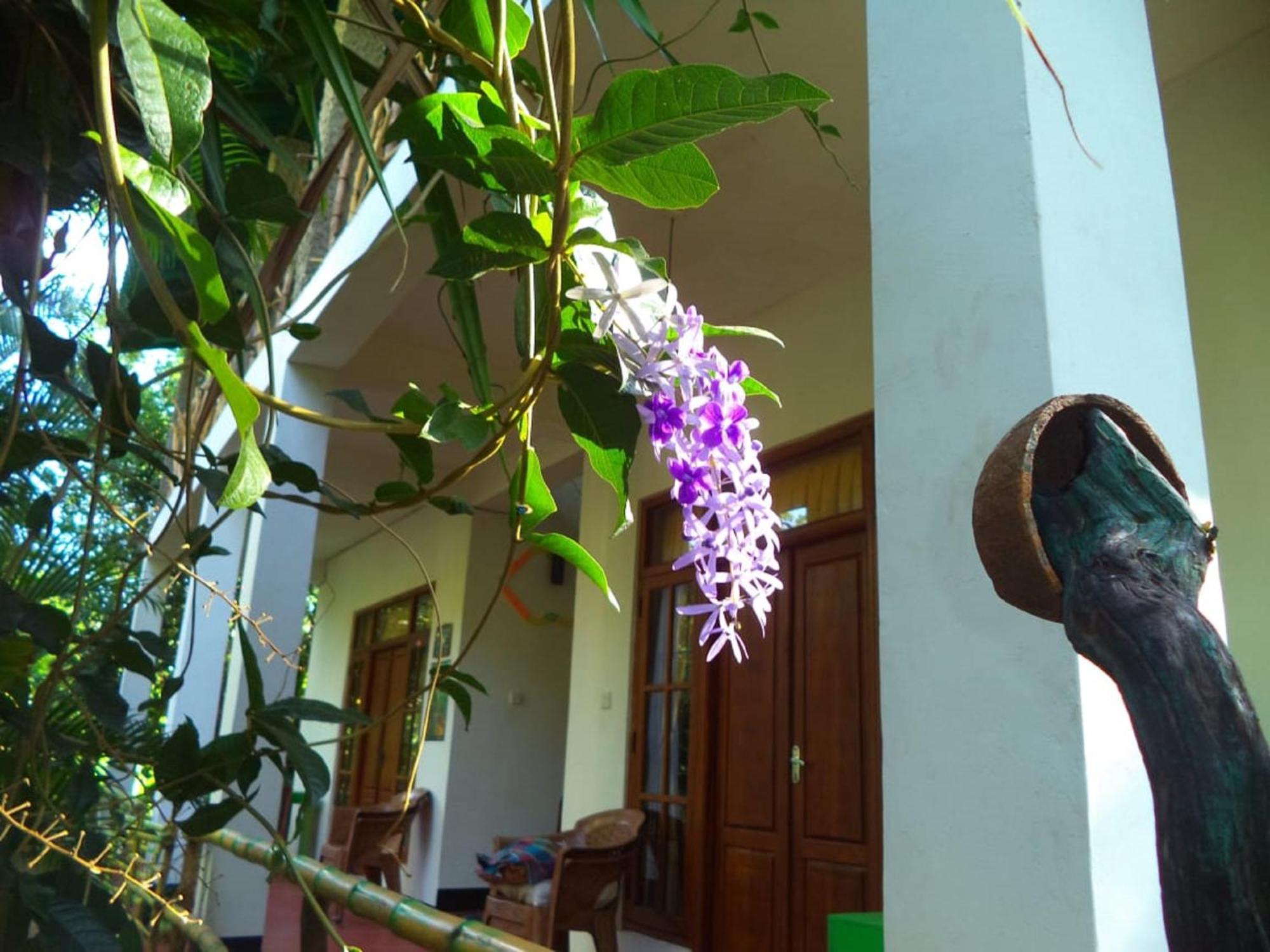 N S K Green Villa Sigiriya Buitenkant foto