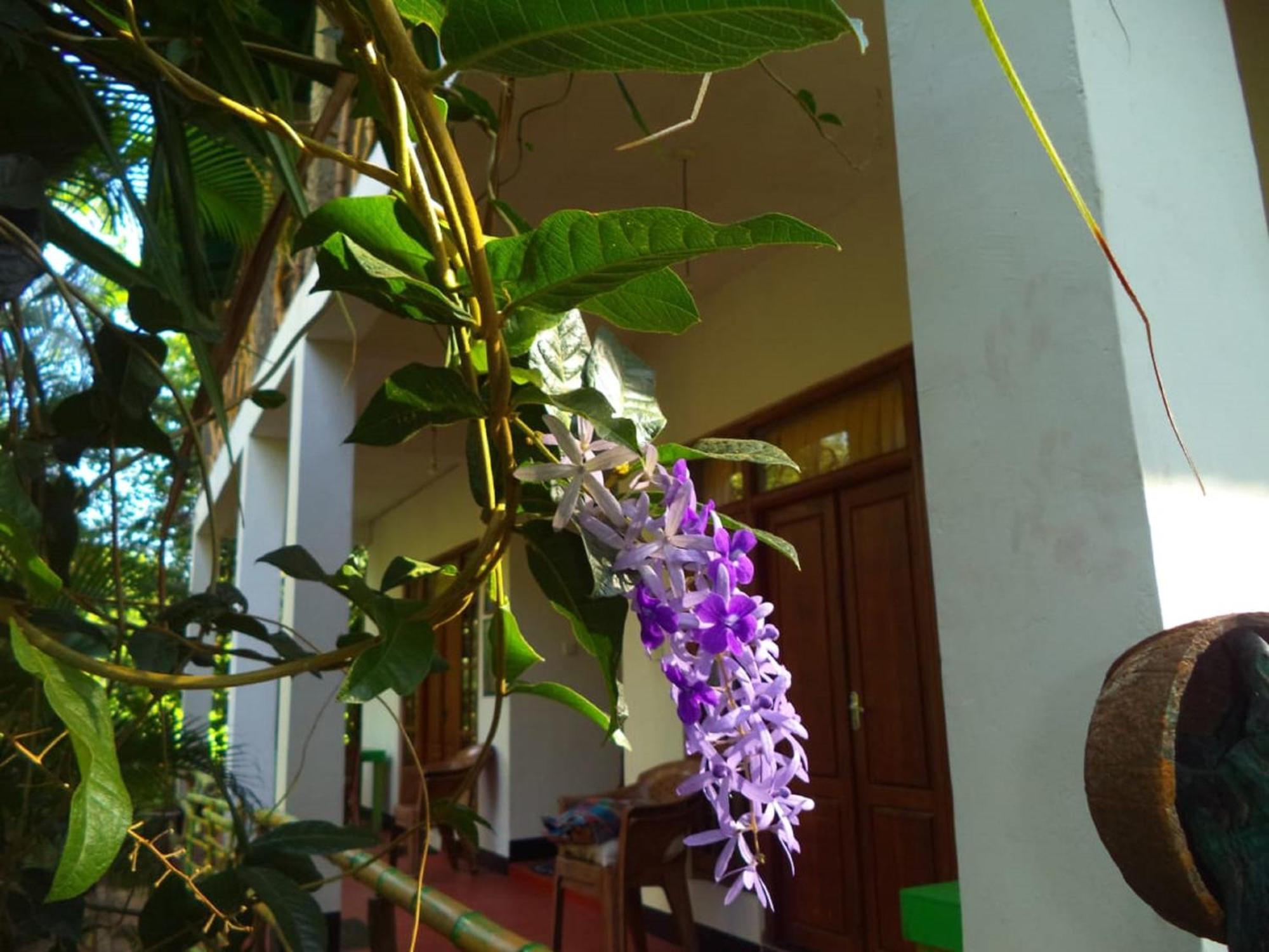 N S K Green Villa Sigiriya Buitenkant foto
